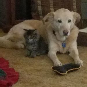 Meet your Posher, James